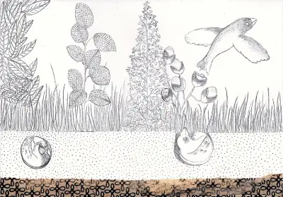 Graines d’oiseau, extrait de L’Orniculteur, dessin Louise de Contes Envol d'oiseau